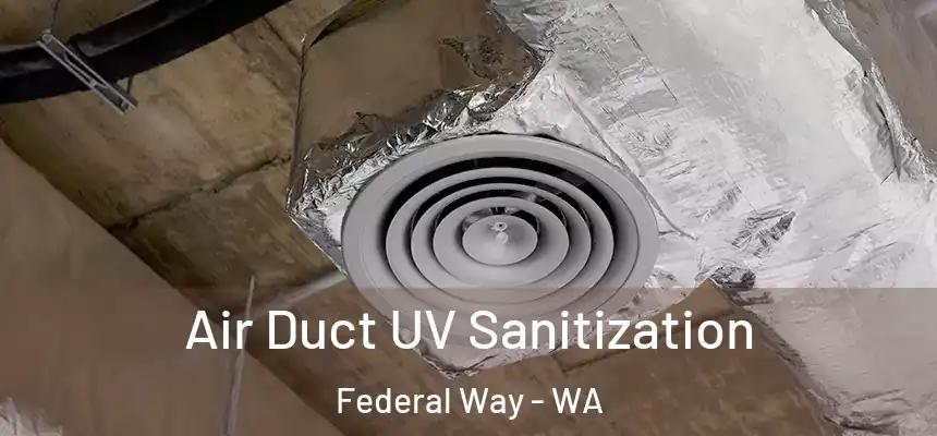  Air Duct UV Sanitization Federal Way - WA