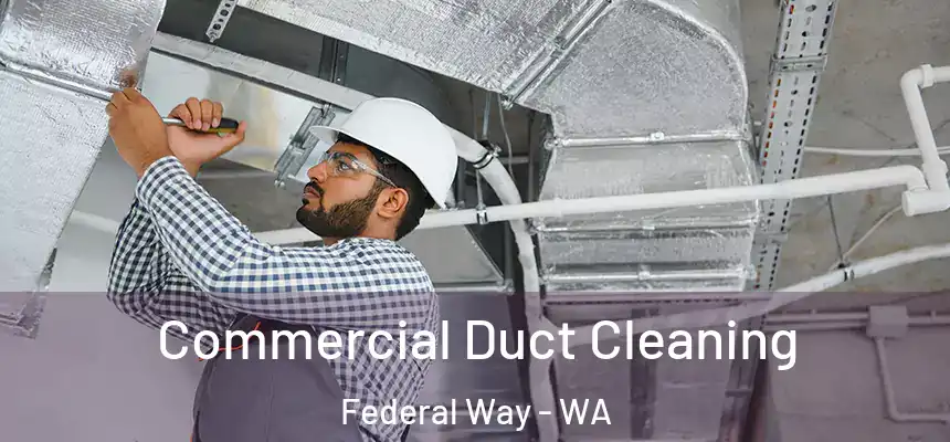 Commercial Duct Cleaning Federal Way - WA