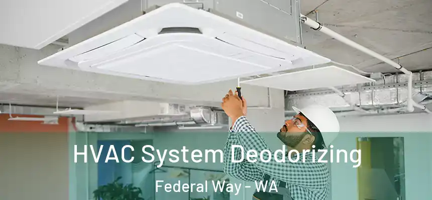  HVAC System Deodorizing Federal Way - WA