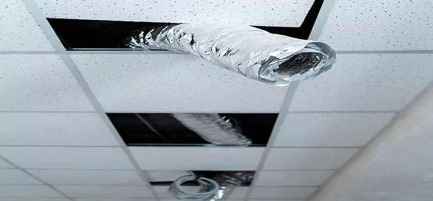 Affordable HVAC Sanitizing After Pest Removal in Federal Way