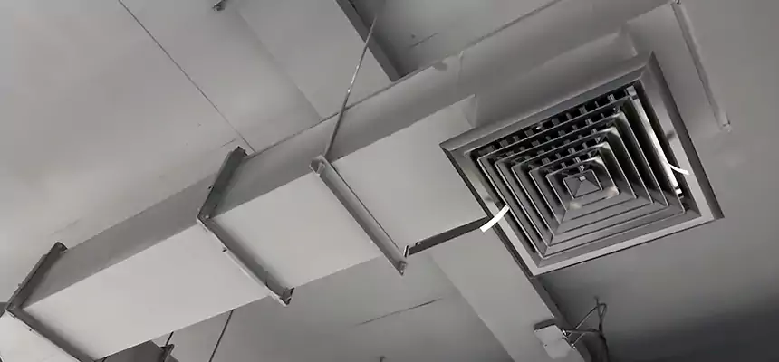 Our Rodent Droppings In Vents Services in Federal Way, WA