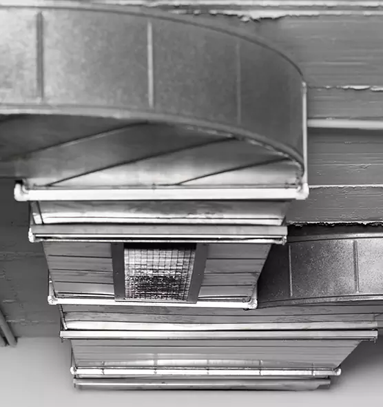 Professional Air Duct Pet Hair Removal in Federal Way, WA