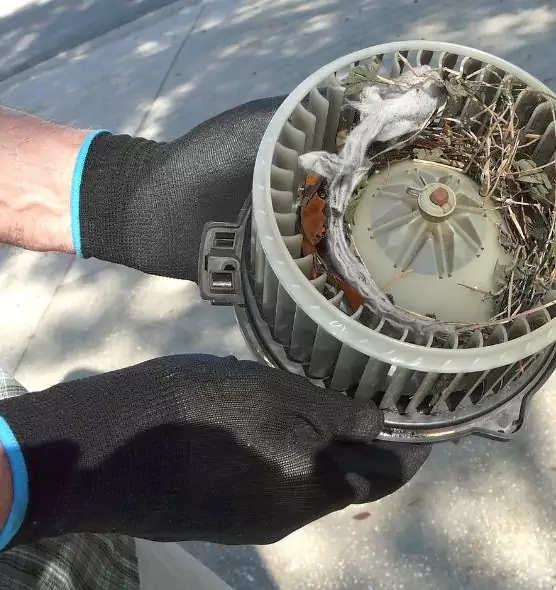 About Air Duct Rat Removal in Federal Way, WA