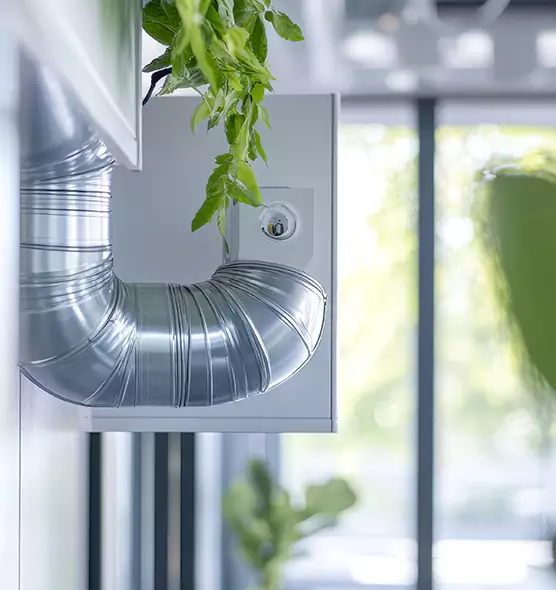 Professional Eco-Safe Dryer Vent Cleaning in Federal Way, WA