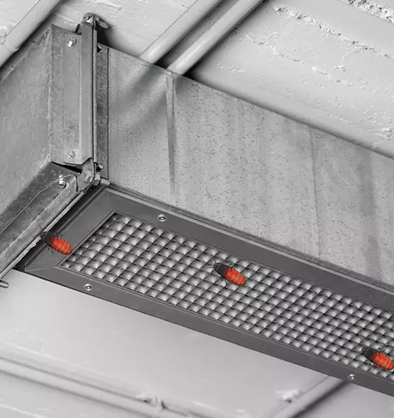 Affordable Insect Removal from Air Ducts in Federal Way, WA