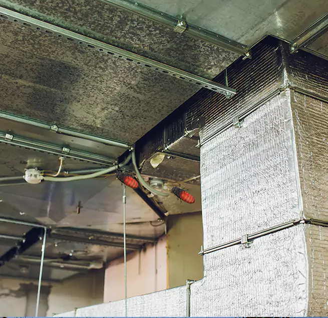 Why Homeowners & Businesses Trust Us in Federal Way, WA?