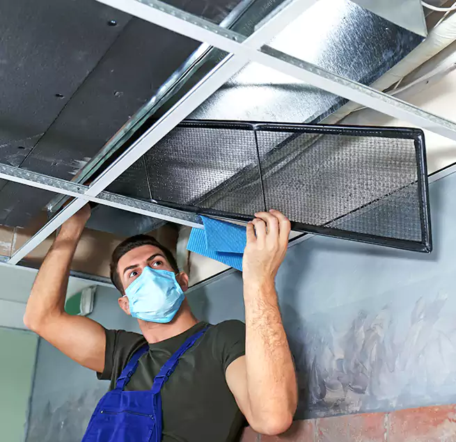 Why Homeowners Businesses Trust Us in Federal Way, WA