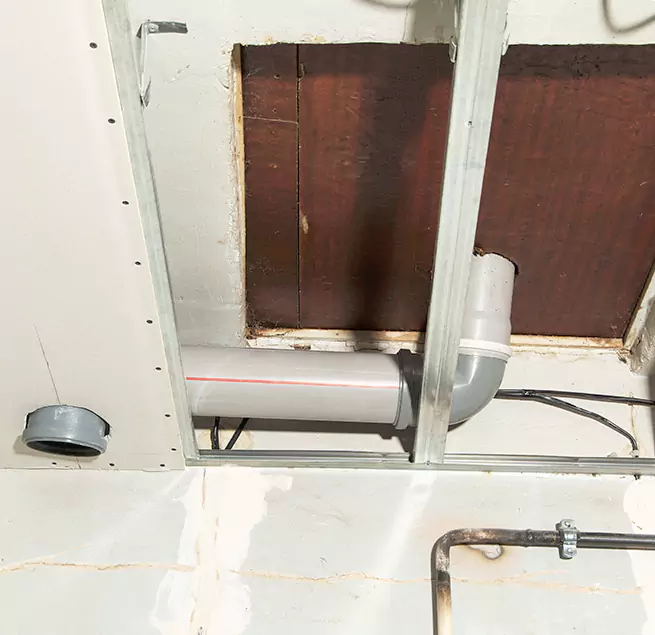 Why Homeowners & Businesses Trust Us in Federal Way, WA?