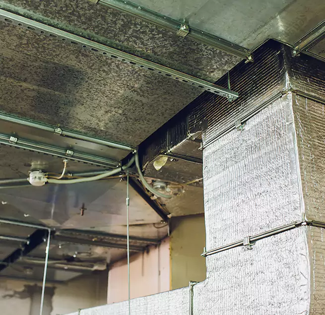 Why Homeowners & Businesses Trust Us in Federal Way, WA?