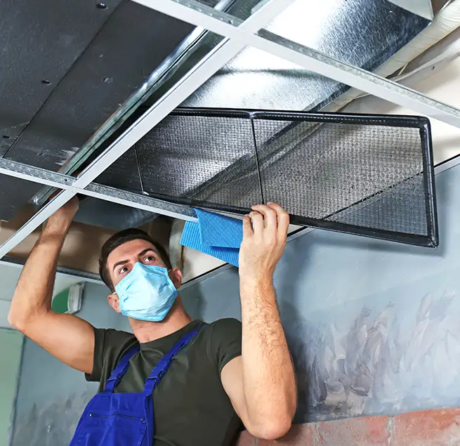 Why Homeowners & Businesses Trust Us in Federal Way, WA?